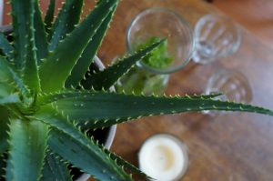 Puur en Reflex voetreflexmassage in Waalre